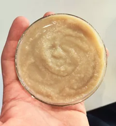 Elde tutulan petri kabında krem renkli bitkisel protein